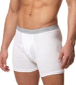 Hanes 2-Pack Cotton Boxer Brief